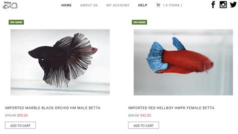 10 Best Places to Buy Betta Fish Online in 2024 .